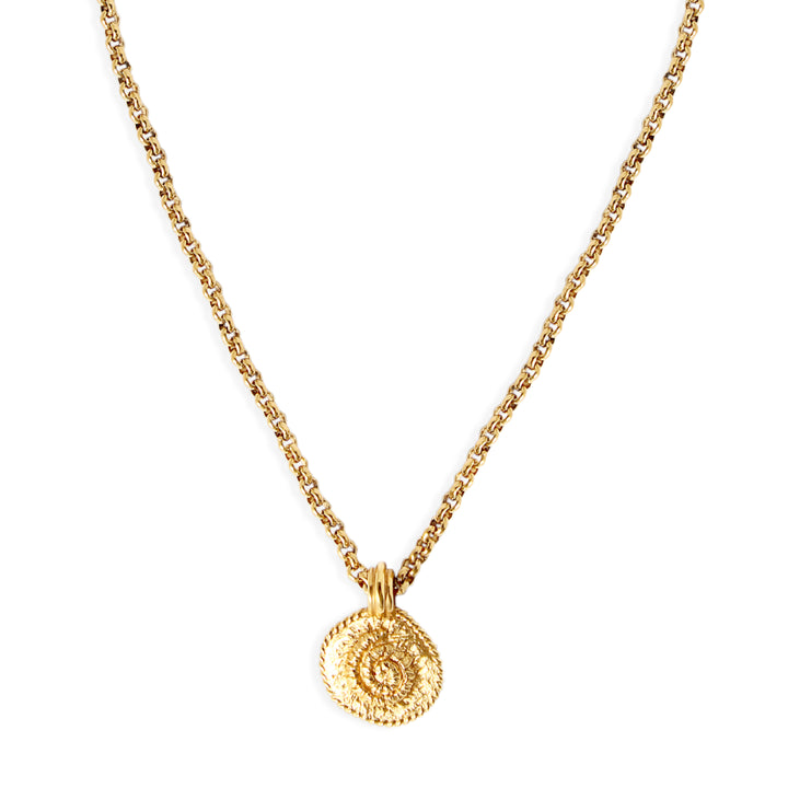 AMMONITE Necklace - Gold