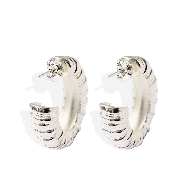 EASTON Earrings - Silver